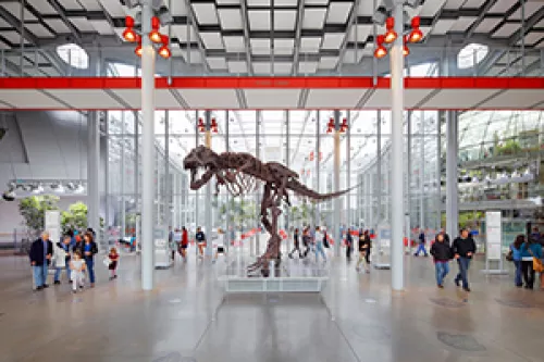 Academy of Sciences