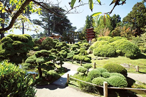 Golden Gate Park